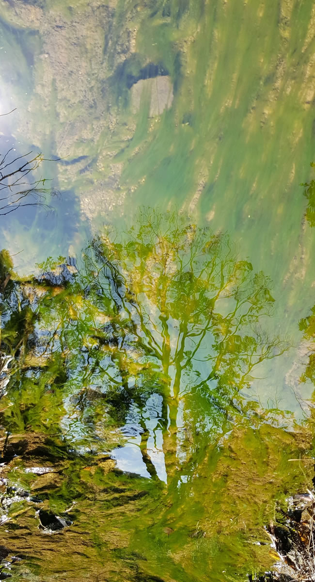 未命名-1.jpg
